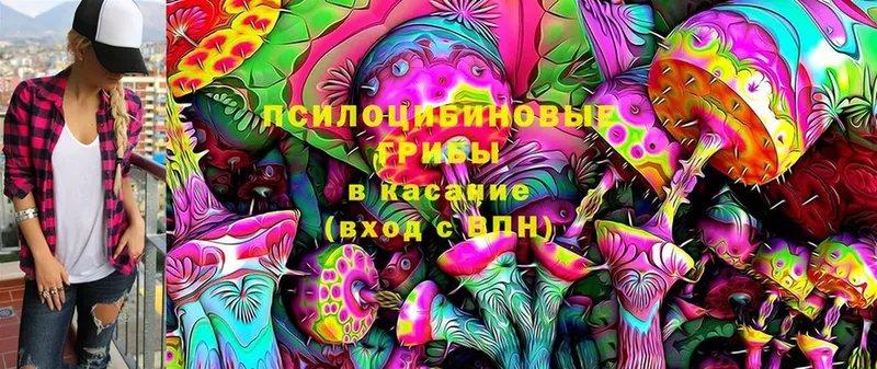 Псилоцибиновые грибы Magic Shrooms  Красногорск 